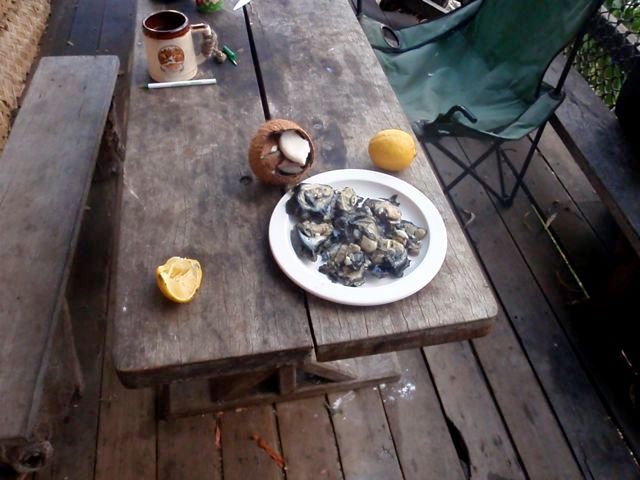 sm2 supplies-getting-low living on island food