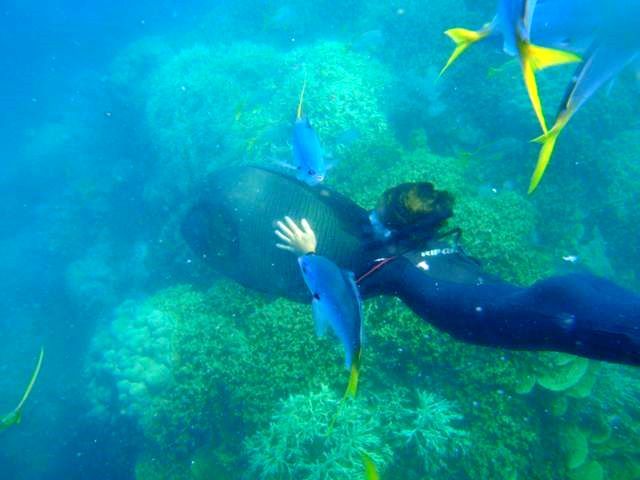 sm2 kiahn mario wrass